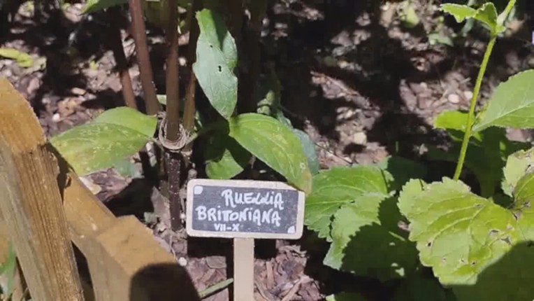 Our Metal Bowl screenshot