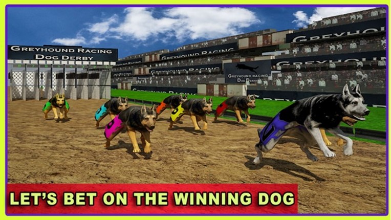 Race Dog Racer Simulator 2016 – Virtual Racing Championship with Real Police Dogs screenshot