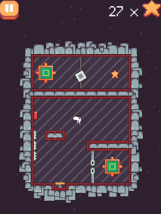 Star Jump Image