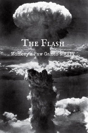 The Flash Game Cover