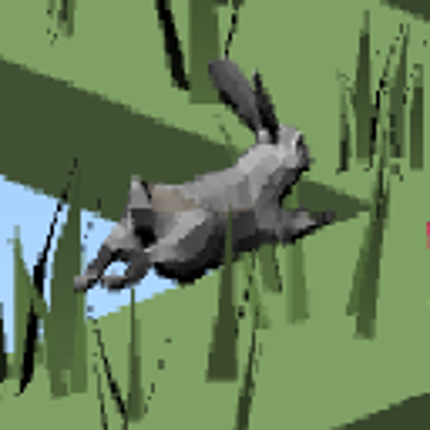 ZigZag RABBIT Image