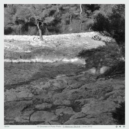10 Gnomes in Porto Preto Image