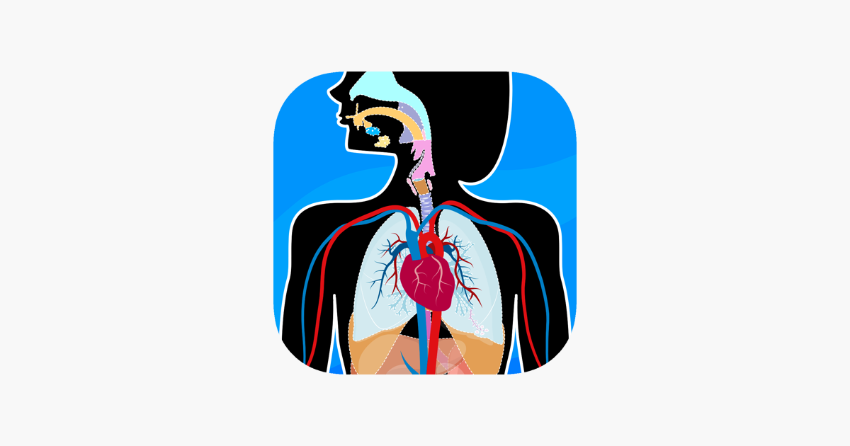 Games like Anatomix - Human Body Systems