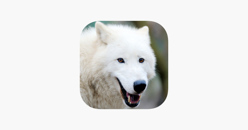 Arctic Wolf Survival Simulator Game Cover