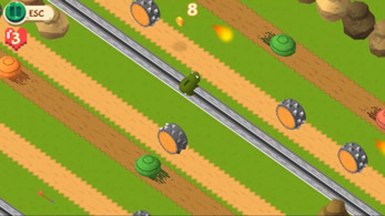 Frog Squash Image