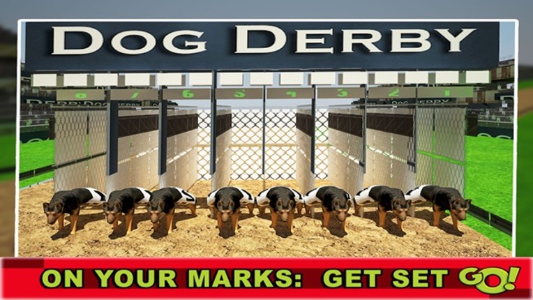 Race Dog Racer Simulator 2016 – Virtual Racing Championship with Real Police Dogs Image