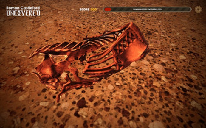 Roman Castleford Uncovered Image