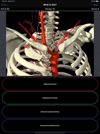 Anatomy Spine Quiz Image