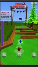 Bird Mini Golf - Freestyle Fun Image