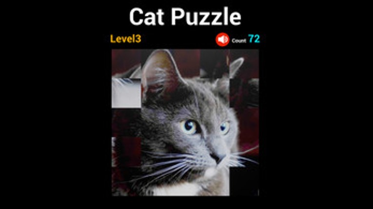 Cat Puzzle Image