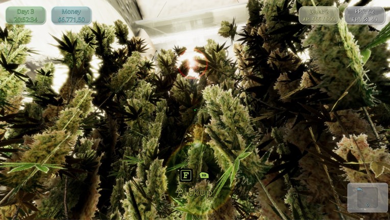 Medicinal Herbs - Cannabis Grow Simulator screenshot