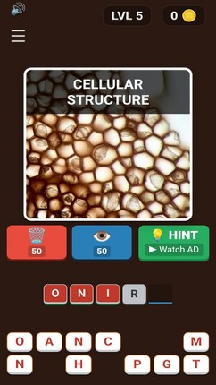 Micro-Gastronomy Image