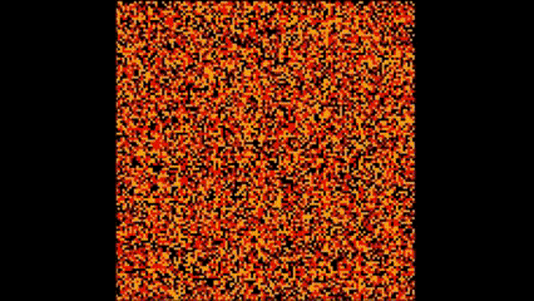 Neuman Probes Image