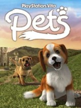 PlayStation Vita Pets Image