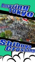 Shibuya Crossing Road Image