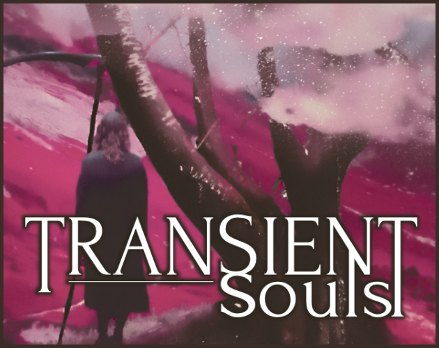 Games like Transient Souls
