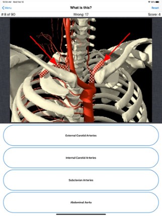 Anatomy Spine Quiz Image