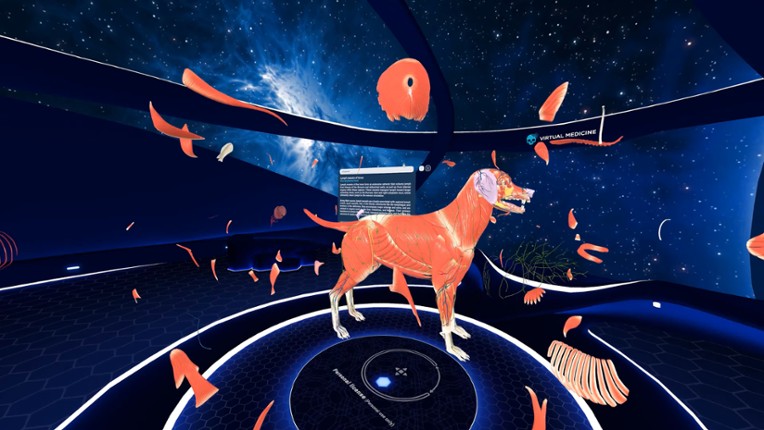 Animal Anatomy VR Image