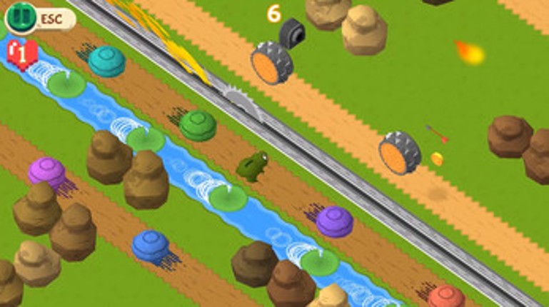 Frog Squash Image