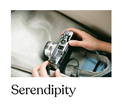 Serendipity Image