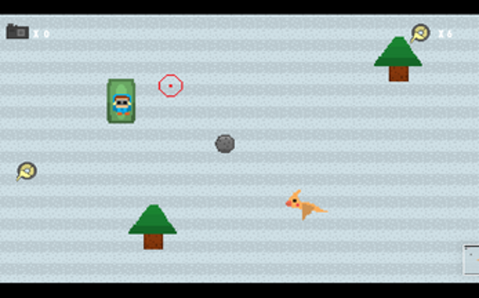 Snowbirder Image