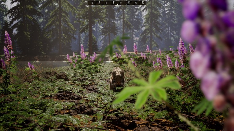 Untamed Kingdom screenshot
