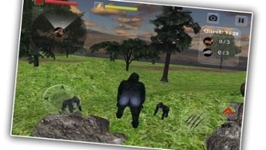 Wild Gorilla Sim Image