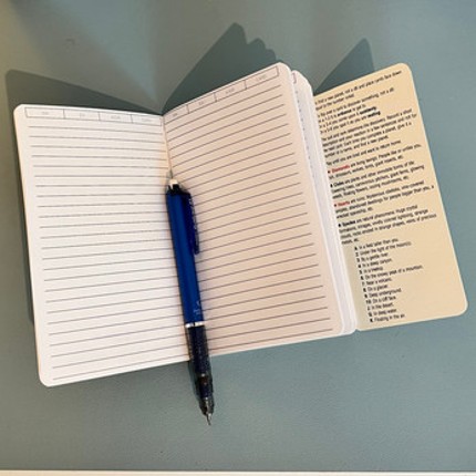 Alone Among The Stars Pocket Notebook screenshot