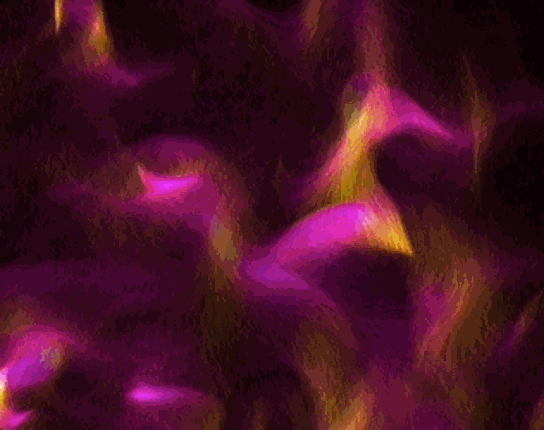 Flow fields Image