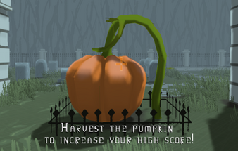 Pumpkin Patch Image