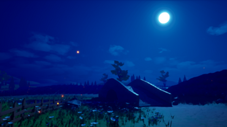 Lavender Fields Image