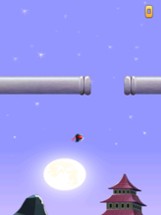 Ninja Air Jump Image