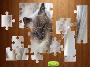 Cat Jigsaw Puzzle - Animal Image