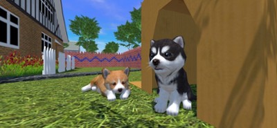 Cute Pocket Puppy 3D - Part 2 Image