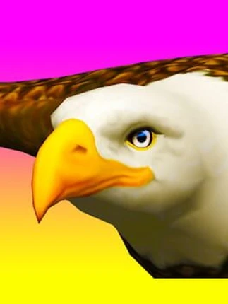 Eagle Ride Image