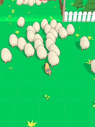 Farm Dog Herding Image