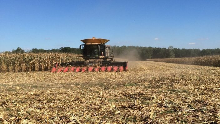 Harrison Farms Image