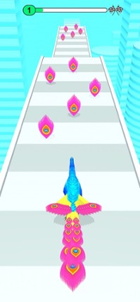 Peacock Hairy Tail Challenge Image