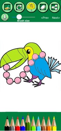 Animals &amp; Birds Coloring book Image