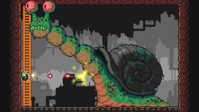 D.U.M.B. Ducks Image