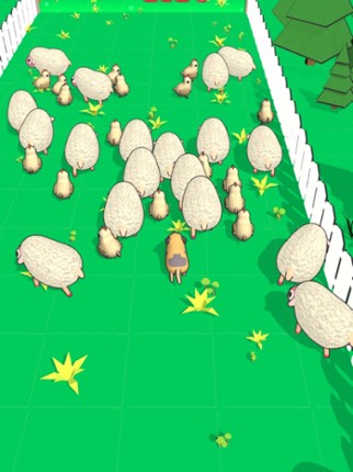 Farm Dog Herding Image