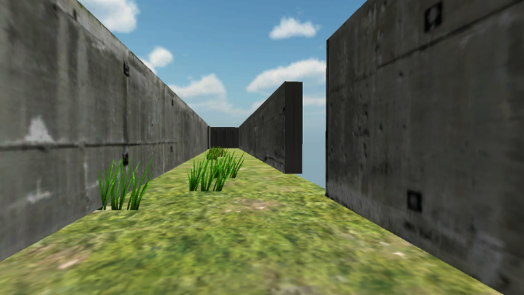 Maze Image