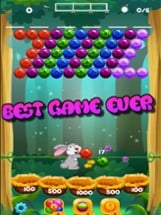 Rio Rabbit Turtle POP! -Bubble Shooter Image