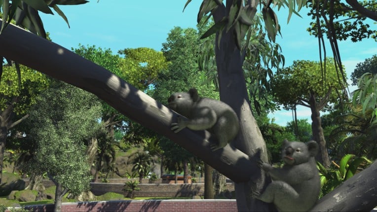 Zoo Tycoon Image
