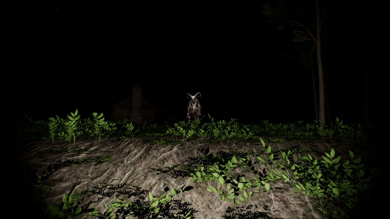 Casae In Silva Image