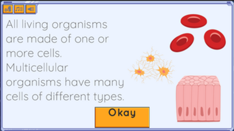 Body Quest screenshot