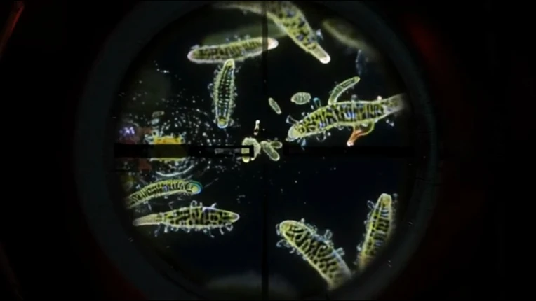Scientist Simulator screenshot