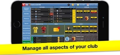 Soccer Tycoon: Football Game Image