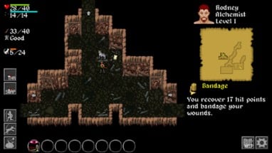 Ananias Roguelike Image