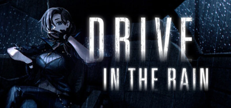 DRIVE IN THE RAIN Image